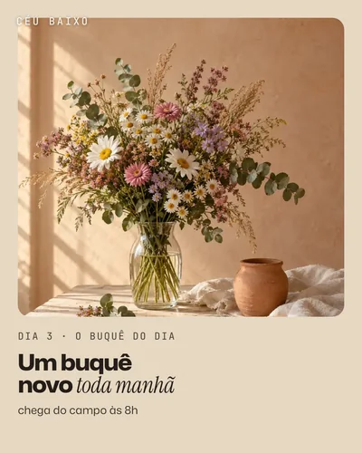 Publicação do dia 3: Um buquê novo toda manhã.